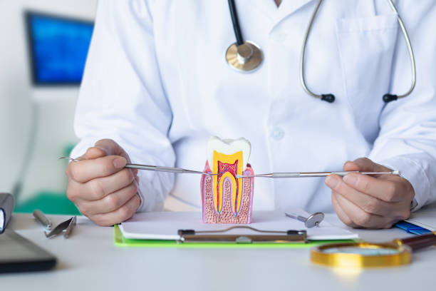 Best Broken or Chipped Tooth Repair in Oasis, CA